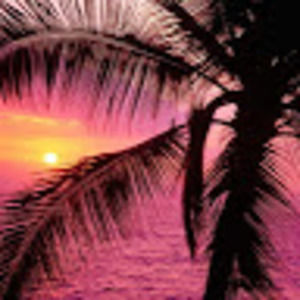 Meet your Posher, Jamie&crafts